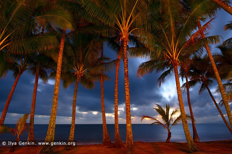 landscapes stock photography | Early Morning Light at Palm Cove, Cairns, Queensland (QLD), Australia, Image ID PALM-COVE-QLD-AU-0001