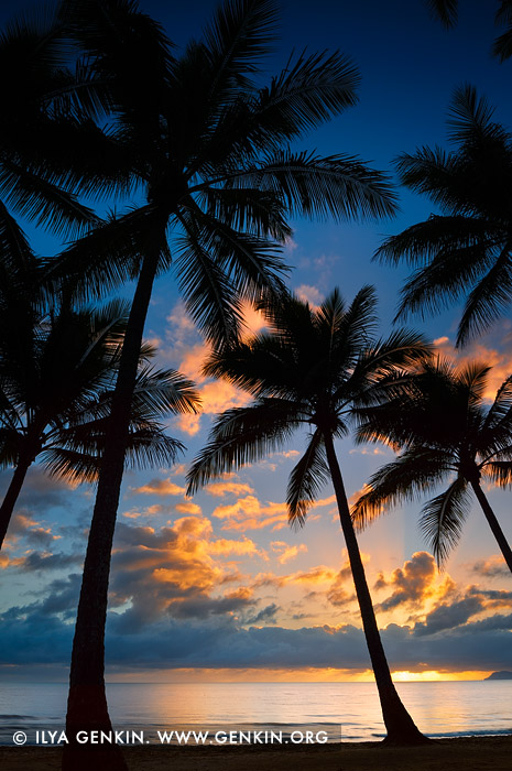 landscapes stock photography | Vivid Sunrise at Palm Cove, Cairns, Queensland (QLD), Australia, Image ID PALM-COVE-QLD-AU-0004