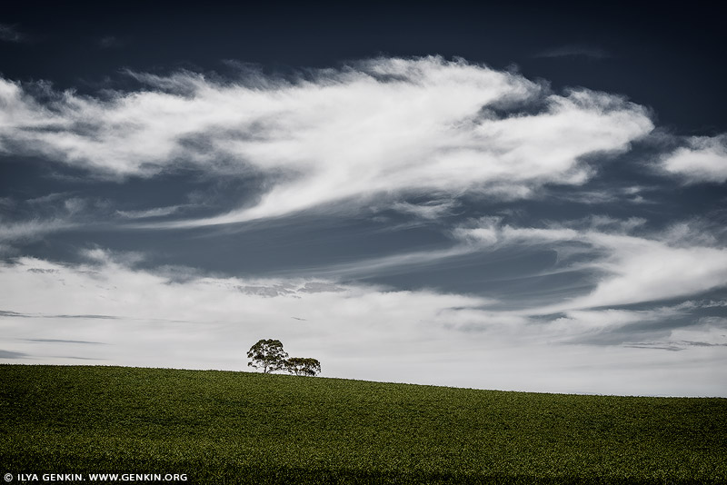 landscapes stock photography | On Hill Top, Clare Valley, South Australia (SA), Australia, Image ID AU-CLARE-VALLEY-0002