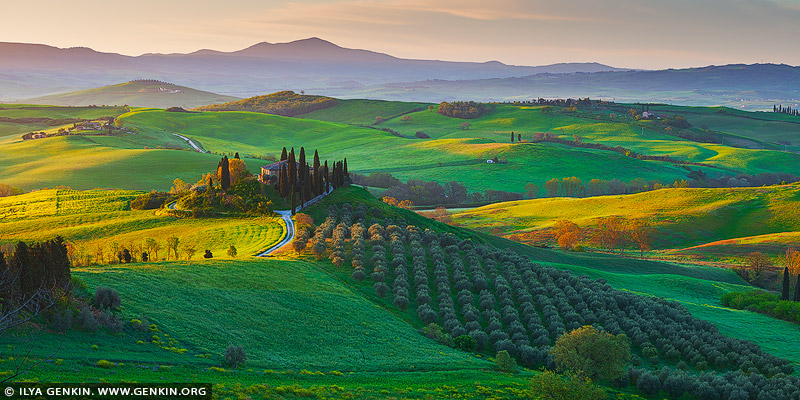 italy stock photography | Podere Belvedere at Sunrise, Pienza, Val d'Orcia, Tuscany, Italy. A breathtaking view of Val d'Orcia near Podere Belvedere in Pienza, Tuscany, at sunrise. Rolling hills stretch into the distance, blanketed in a soft morning mist that lends an ethereal quality to the scene. The iconic farmhouse of Podere Belvedere sits perched on a hill, surrounded by cypress trees and lush green fields kissed by the golden light of dawn. The sky is a canvas of warm hues, transitioning from soft pinks and oranges to deep blues, creating a perfect backdrop for this tranquil and timeless Tuscan landscape.