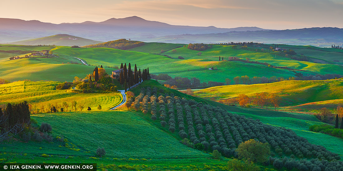 italy stock photography | Podere Belvedere at Sunrise, Pienza, Val d'Orcia, Tuscany, Italy, Image ID ITALY-TUSCANY-0009