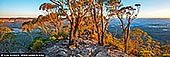 landscapes stock photography | Hargraves Lookout and Megalong Valley at Sunset, Blackheath, Blue Mountains National Park, NSW, Australia, Image ID AU-HARGRAVES-LOOKOUT-0001. Panoramic view of Megalong Valley at sunset. The landscape glows with the warm colours of the setting sun. Seen from Hargraves Lookout, the rugged cliffs, vast valleys, and distant mountain ranges stretch out in all directions, painted in shades of green, gold, and ochre. The Red Gums and towering Mountain Ashes stand tall, their trunks and leaves illuminated with a rich, reddish hue in the golden light. As the sun dips lower, the sky becomes a canvas of pink, orange, and deep purple, casting a serene and timeless atmosphere over this secluded Australian wilderness.