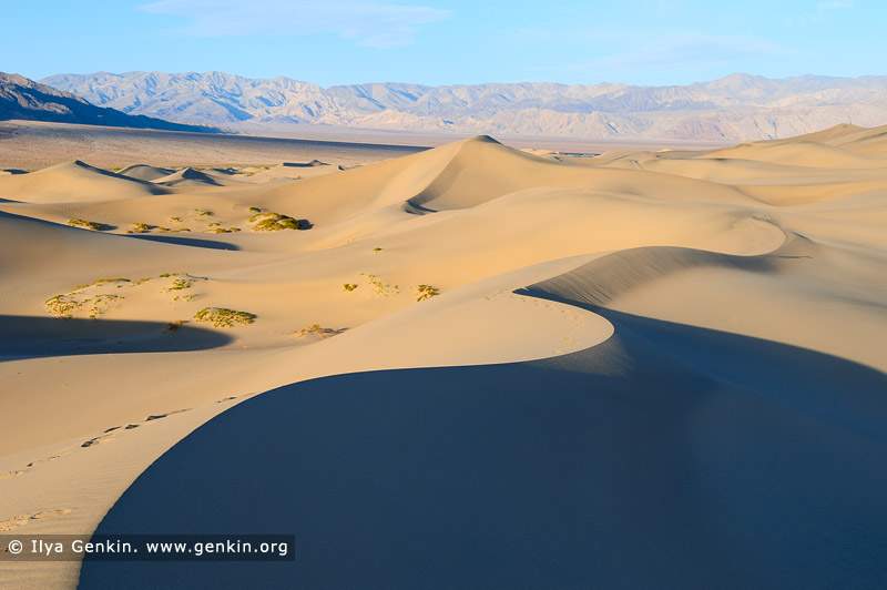 landscapes stock photography | Mesquite Flat Sand Dunes, Death Valley, California, USA, Image ID US-DEATH-VALLEY-0008