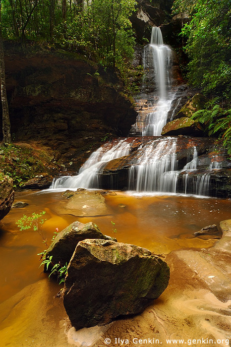 landscapes stock photography | Empress Falls, Valley of the Waters Creek, Blue Mountains National Park, New South Wales (NSW), Australia, Image ID AUWF0019