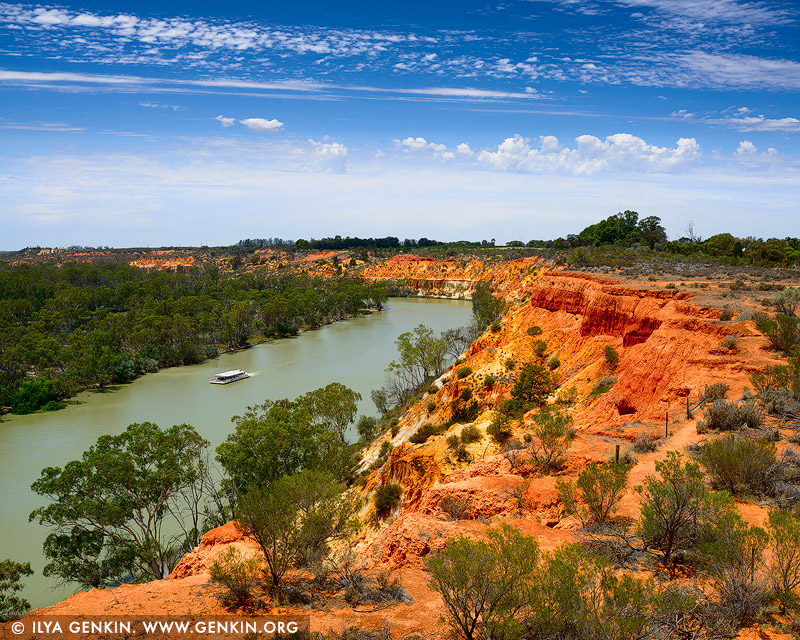 Murray River from Heading's Cliff Lookout, Renmark Paringa District ...