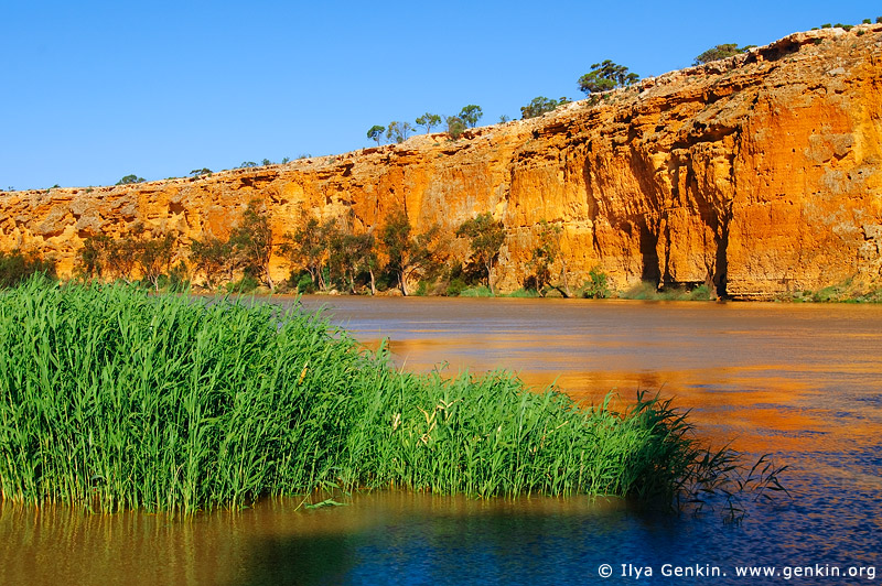 landscapes stock photography | Big Bend Cliffs, Murray River, South Australia, Australia, Image ID ZAU-MURRAY-BIG-BEND-0099