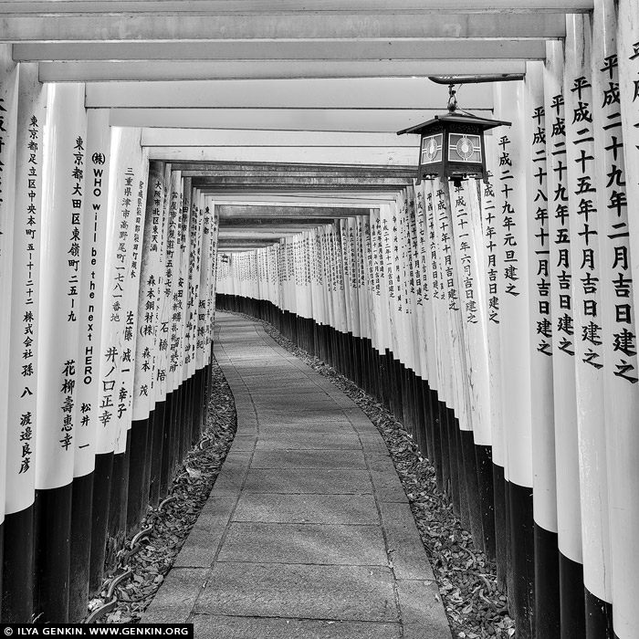 portfolio stock photography | Ten Thousands of Red Torii Gates at Fushimi Inari Shrine, Kyoto, Kansai, Honshu, Japan, Image ID JAPAN-FUSHIMI-INARI-0003