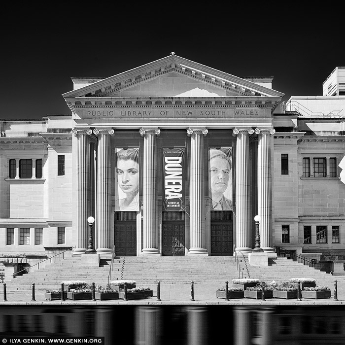 portfolio stock photography | Public Library of New South Wales, Sydney, NSW, Australia. In this black-and-white photograph, the Mitchell Building of the State Library of New South Wales stands as a testament to classical architecture and craftsmanship. The heritage-listed structure exudes grandeur, with its sandstone facade glowing softly in the monochromatic tones. Tall Ionic columns line the entrance, their fluted shafts and intricate capitals carved with precision, grounding the building with a sense of classical authority. Above the entrance, decorative stonework and sculpted pediments are highlighted in subtle contrasts, showcasing an eye for detail that speaks to an era of meticulous masonry. Large arched windows punctuate the facade, their frames creating rhythmic shadows that add depth and symmetry. The building's crowning balustrade, adorned with elegant urns and stone detailing, completes the composition, capturing a balance between strength and refinement. The photo conveys not only the architectural beauty of the Mitchell Building but also its timeless role as a cultural institution nestled in the heart of Sydney. In 1975 the Public Library of New South Wales it became the State Library of New South Wales.