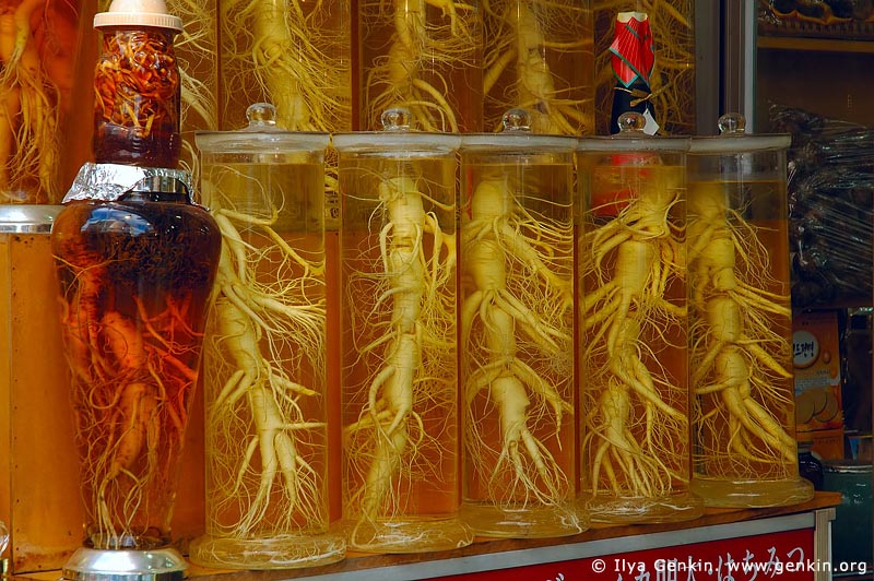  stock photography | Ginseng Roots in Bottles in Namdaemun Market in Seoul, South Korea, Seoul, South Korea, Image ID KR-SEOUL-0017