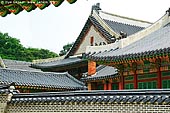  stock photography | Roofs at Changdeokgung Palace in Seoul, South Korea, Jongno-gu, Seoul, South Korea, Image ID KR-SEOUL-CHANGDEOKGUNG-0008. 