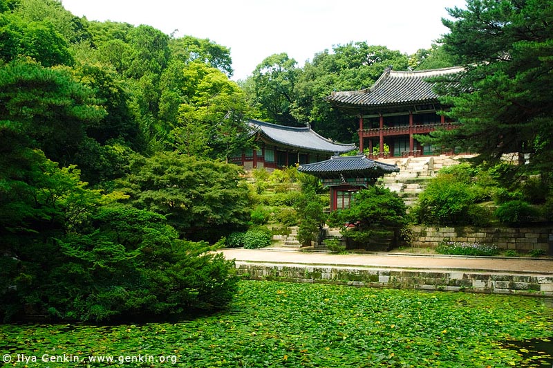  stock photography | Juhamnu Pavilion at Changdeokgung Palace in Seoul, South Korea, Jongno-gu, Seoul, South Korea, Image ID KR-SEOUL-CHANGDEOKGUNG-0015