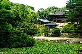  stock photography | Juhamnu Pavilion at Changdeokgung Palace in Seoul, South Korea, Jongno-gu, Seoul, South Korea, Image ID KR-SEOUL-CHANGDEOKGUNG-0015. 