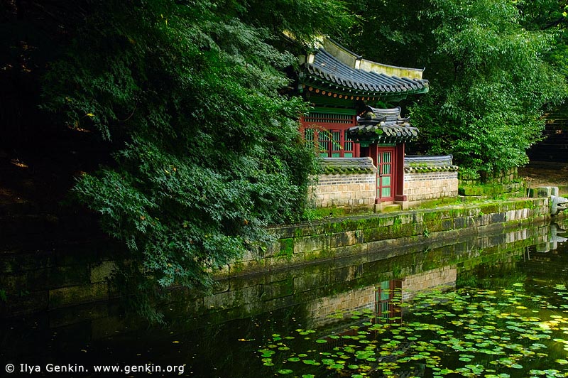  stock photography | Buyeongji Pond at Changdeokgung Palace in Seoul, South Korea, Jongno-gu, Seoul, South Korea, Image ID KR-SEOUL-CHANGDEOKGUNG-0017