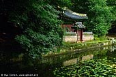  stock photography | Buyeongji Pond at Changdeokgung Palace in Seoul, South Korea, Jongno-gu, Seoul, South Korea, Image ID KR-SEOUL-CHANGDEOKGUNG-0017. 