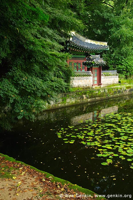  stock photography | Buyeongji Pond at Changdeokgung Palace in Seoul, South Korea, Jongno-gu, Seoul, South Korea, Image ID KR-SEOUL-CHANGDEOKGUNG-0018