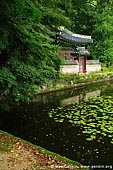  stock photography | Buyeongji Pond at Changdeokgung Palace in Seoul, South Korea, Jongno-gu, Seoul, South Korea, Image ID KR-SEOUL-CHANGDEOKGUNG-0018. 