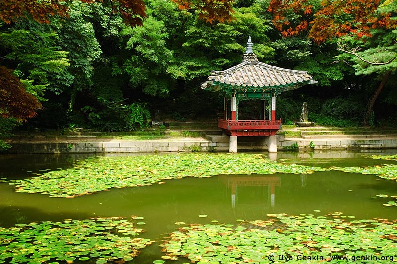  stock photography | Aeryeonji Pond and Aeryeonjeong Pavilion at Changdeokgung Palace in Seoul, South Korea, Jongno-gu, Seoul, South Korea, Image ID KR-SEOUL-CHANGDEOKGUNG-0019