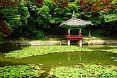  stock photography | Aeryeonji Pond and Aeryeonjeong Pavilion at Changdeokgung Palace in Seoul, South Korea, Jongno-gu, Seoul, South Korea, Image ID KR-SEOUL-CHANGDEOKGUNG-0019. 