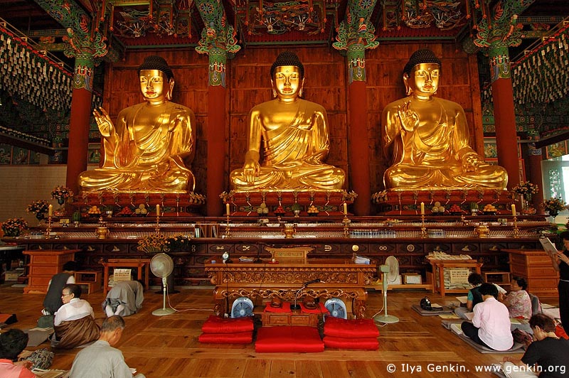  stock photography | In Prayer for Buddha Inside Jogyesa Temple in Seoul, South Korea, Gyeonji-dong, Jongno-gu, Seoul, South Korea, Image ID KR-SEOUL-JOGYESA-0006