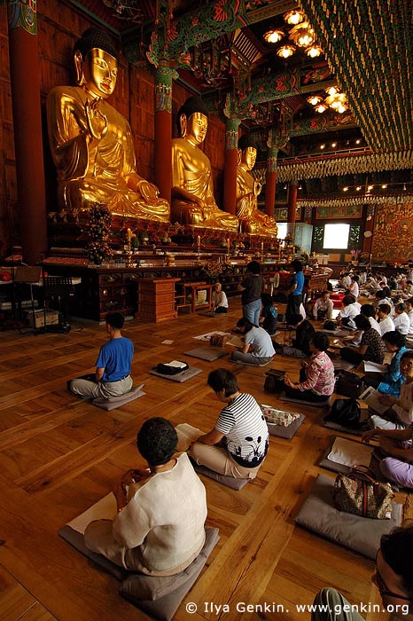  stock photography | In Prayer for Buddha Inside Jogyesa Temple in Seoul, South Korea, Gyeonji-dong, Jongno-gu, Seoul, South Korea, Image ID KR-SEOUL-JOGYESA-0010