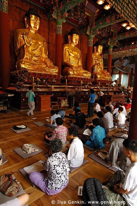  stock photography | In Prayer for Buddha Inside Jogyesa Temple in Seoul, South Korea, Gyeonji-dong, Jongno-gu, Seoul, South Korea, Image ID KR-SEOUL-JOGYESA-0011