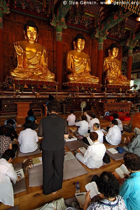  stock photography | In Prayer for Buddha Inside Jogyesa Temple in Seoul, South Korea, Gyeonji-dong, Jongno-gu, Seoul, South Korea, Image ID KR-SEOUL-JOGYESA-0012