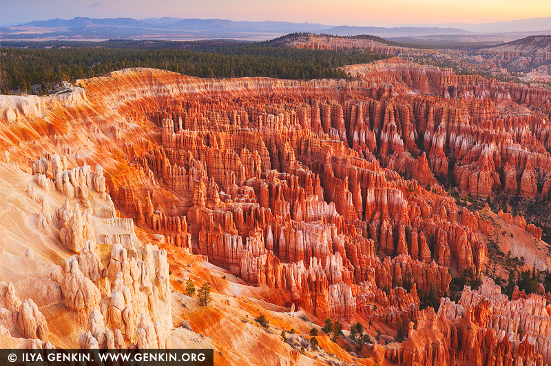 Bryce Amphitheatre at Sunrise, Inspiration Point, Bryce Canyon National Park, Utah, USA