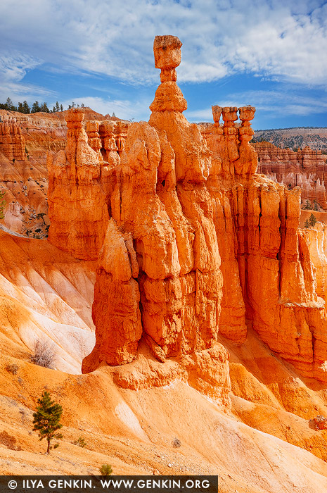 Sunrise at Thor's Hammer, Sunset Point, Navajo Loop Trail, Bryce Canyon National Park, Utah, USA