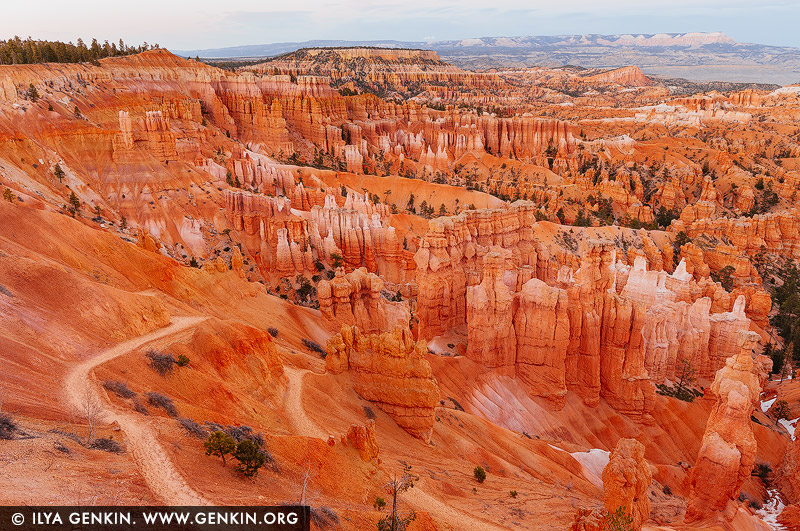 Bryce Amphitheatre at Sunset, Sunset Point, Bryce Canyon National Park, Utah, USA