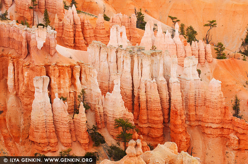 Hoodoos, Bryce Canyon National Park, Utah, USA