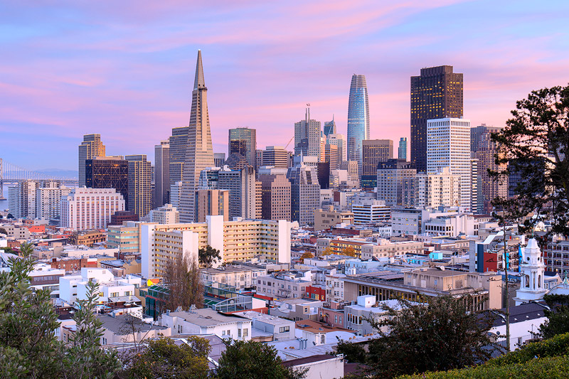 San Francisco Skyline from Ina Coolbrith Park