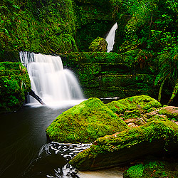 Forests, Rainforests and Waterfalls